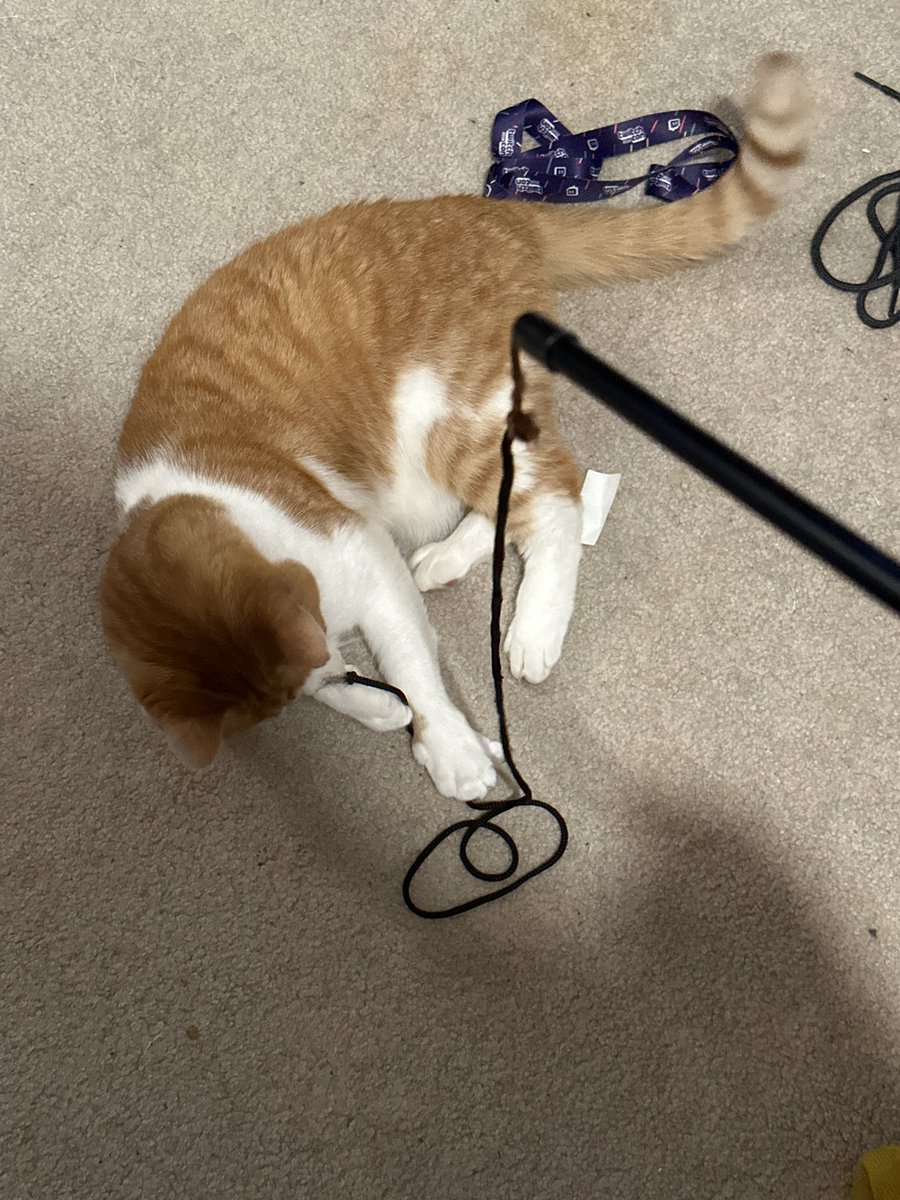 cupdates69's tweet image. 