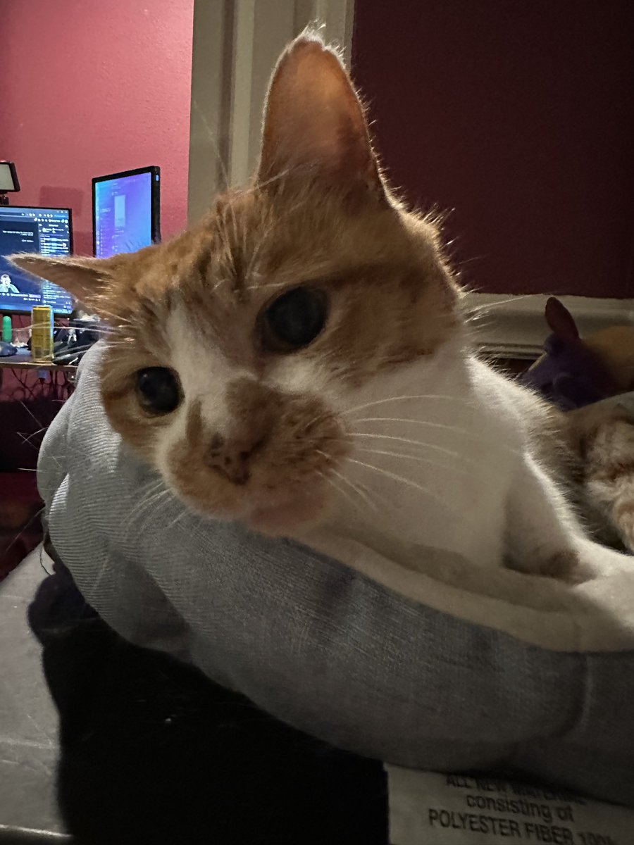 cupdates69's tweet image. 