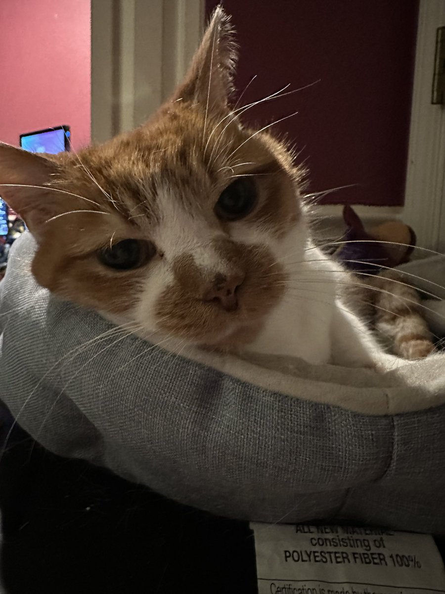 cupdates69's tweet image. 