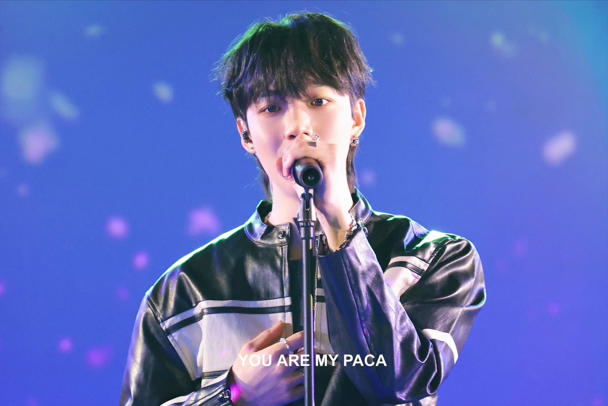 YOU ARE MY PACA ㅇㅇㅁㅇㅍㅋ tweet media