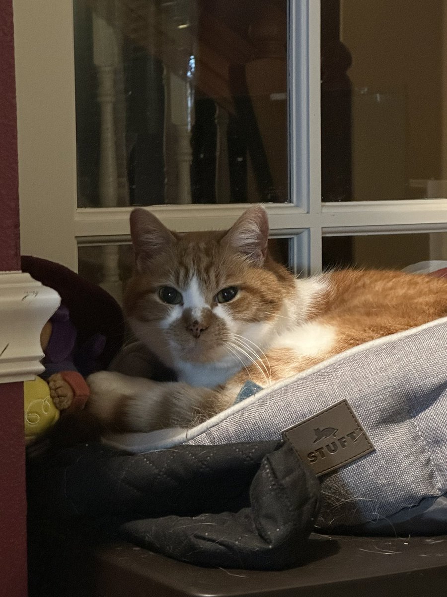 cupdates69's tweet image. 