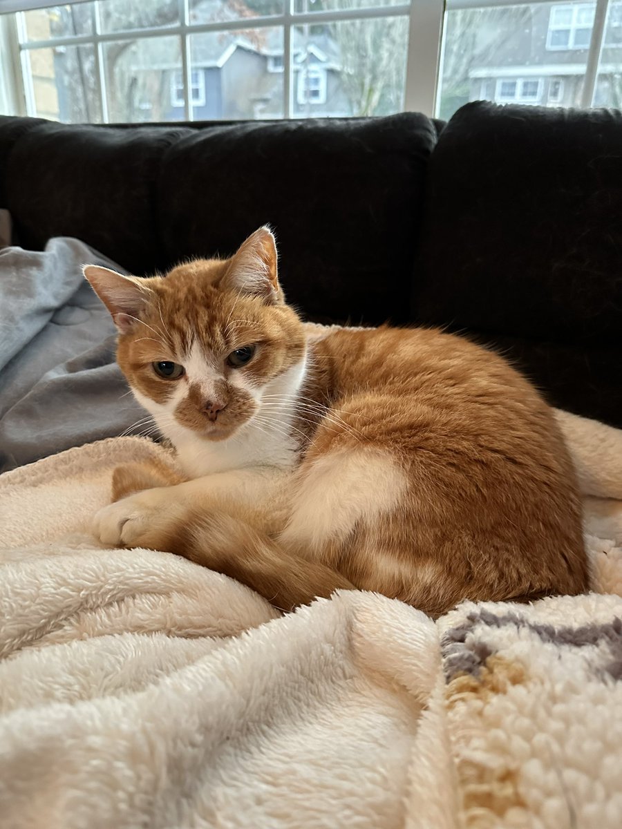 cupdates69's tweet image. 