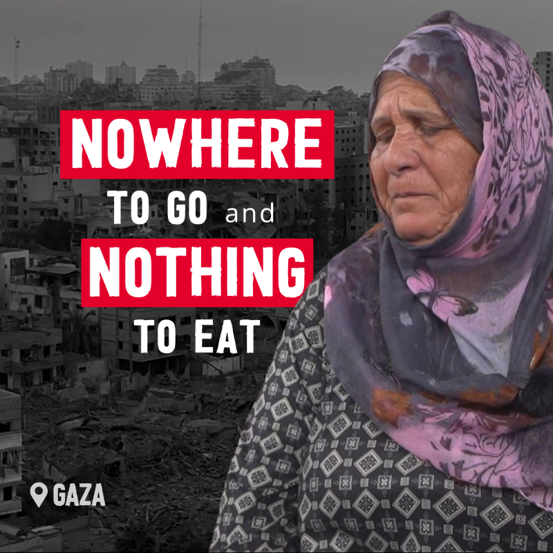 WFP's tweet photo. With nowhere to go and nothing to eat, half of Gaza’s population is starving. 

9 out of 10 Gazans are eating less than one meal a day.

WFP reiterates our call for a humanitarian ceasefire - the world must come together to save lives.