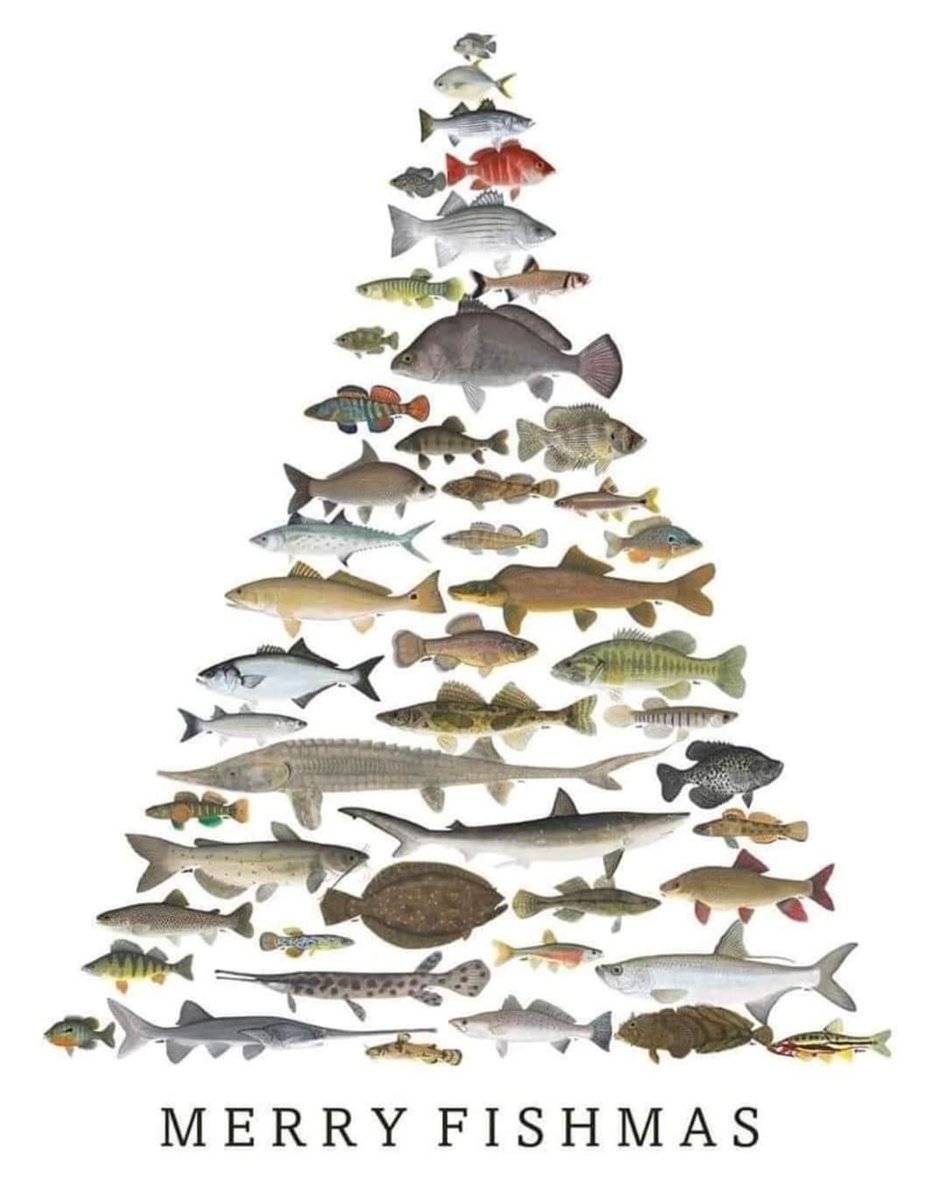 Josep Lloret (@oceansalut) on Twitter photo 