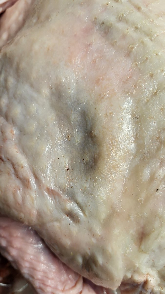 Alan48385348's tweet photo. Aldi turkey bought Friday use by 27th just opened to prepare for today going rotten that's today's dinner ruined https://t.co/Ea5s7Jasoa