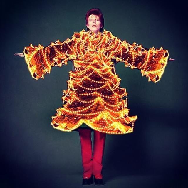 Oh come let us adore him! Merry Ziggmas!