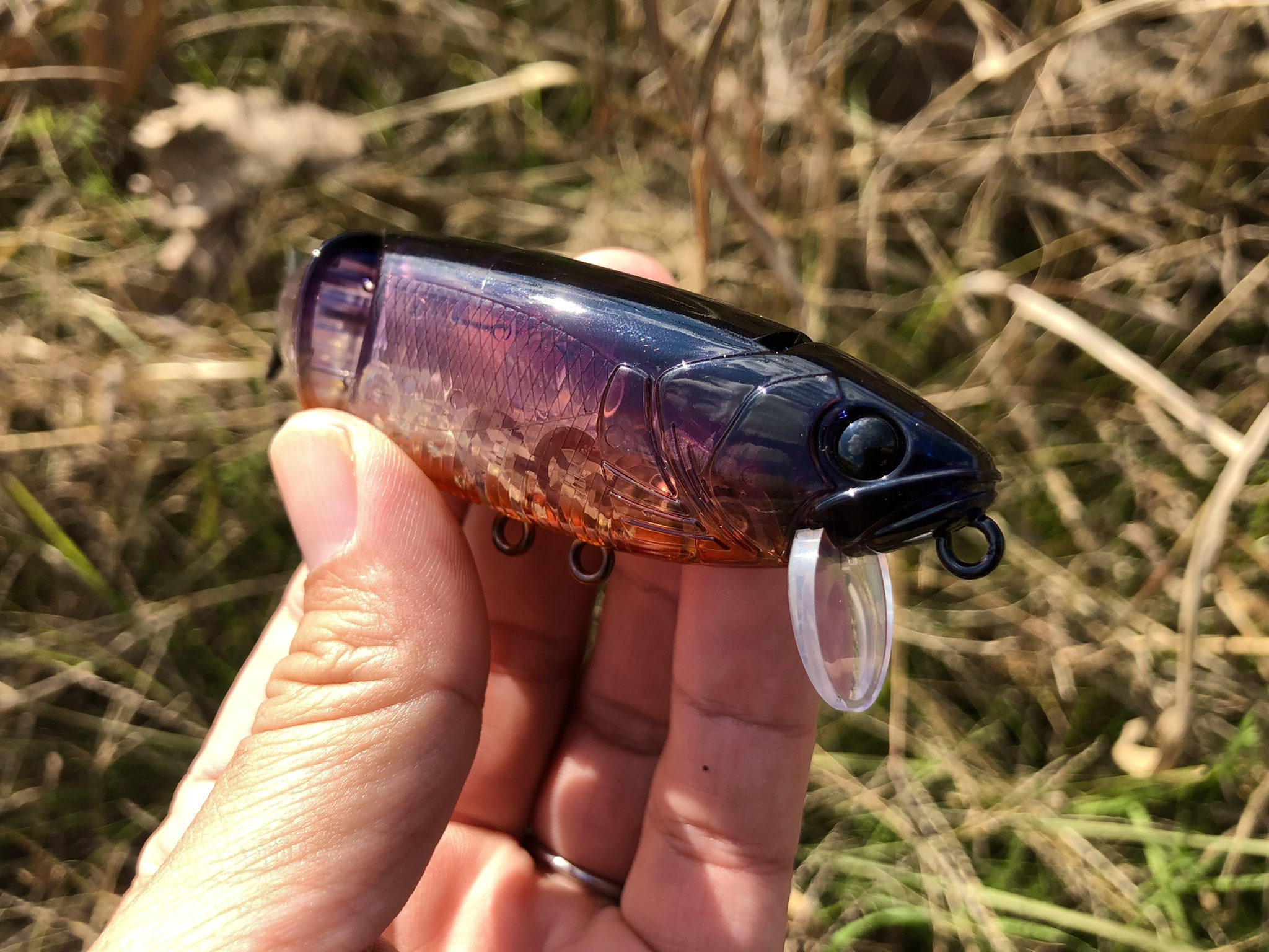 BUTZ SNATCH バッツ スナッチ アサヤケ バッツ スナッチ 浜金シャチ