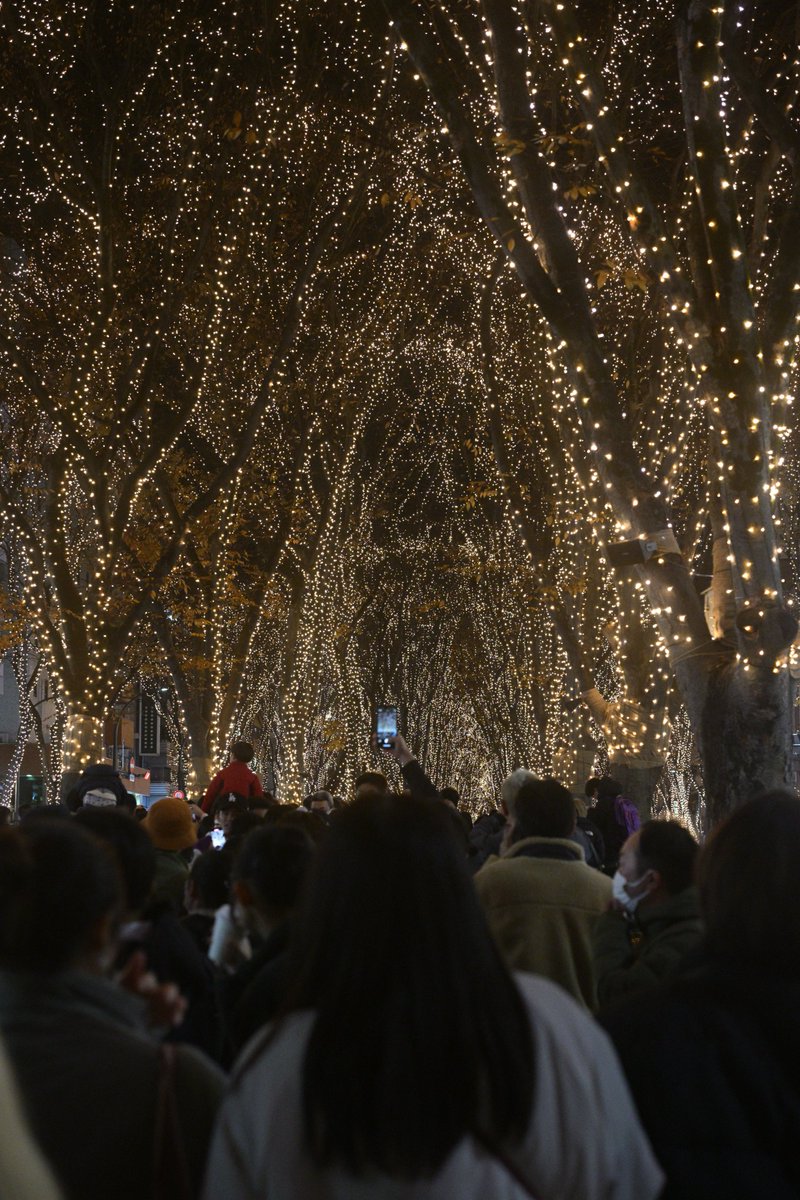 NikonBrand's tweet photo. ˗ˋˏ Merry Christmas🎄💛 ˎˊ˗

弊社の社員が #ニコン のカメラで撮影した、クリスマスの思い出をご紹介📷💝

皆さんもぜひ、
#私とニコンで見たクリスマス
をつけてリプライで教えてくださいね✨ https://t.co/NizwY0jmxz