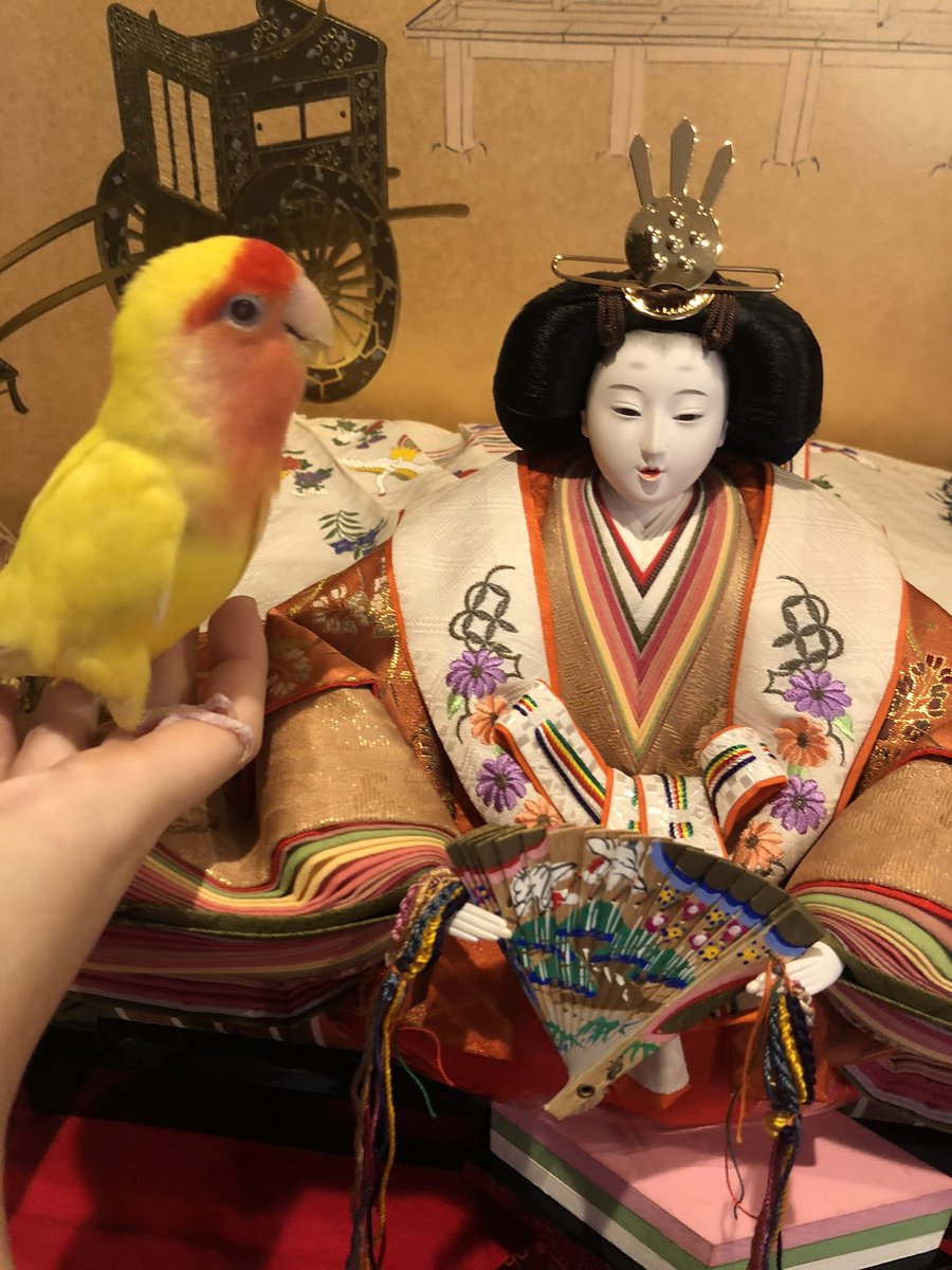 クリスマス今日はピーちゃんの四十九日です。
生前はお雛様が好きでイベント大好きな鳥さんだったので四十九日がクリスマス、百か日がバレンタインと何ともあの子らしい🐤
虹の橋で元気にやっているといいなぁ🌈

皆さん素敵なクリスマスをお過ごしくださいね🎄