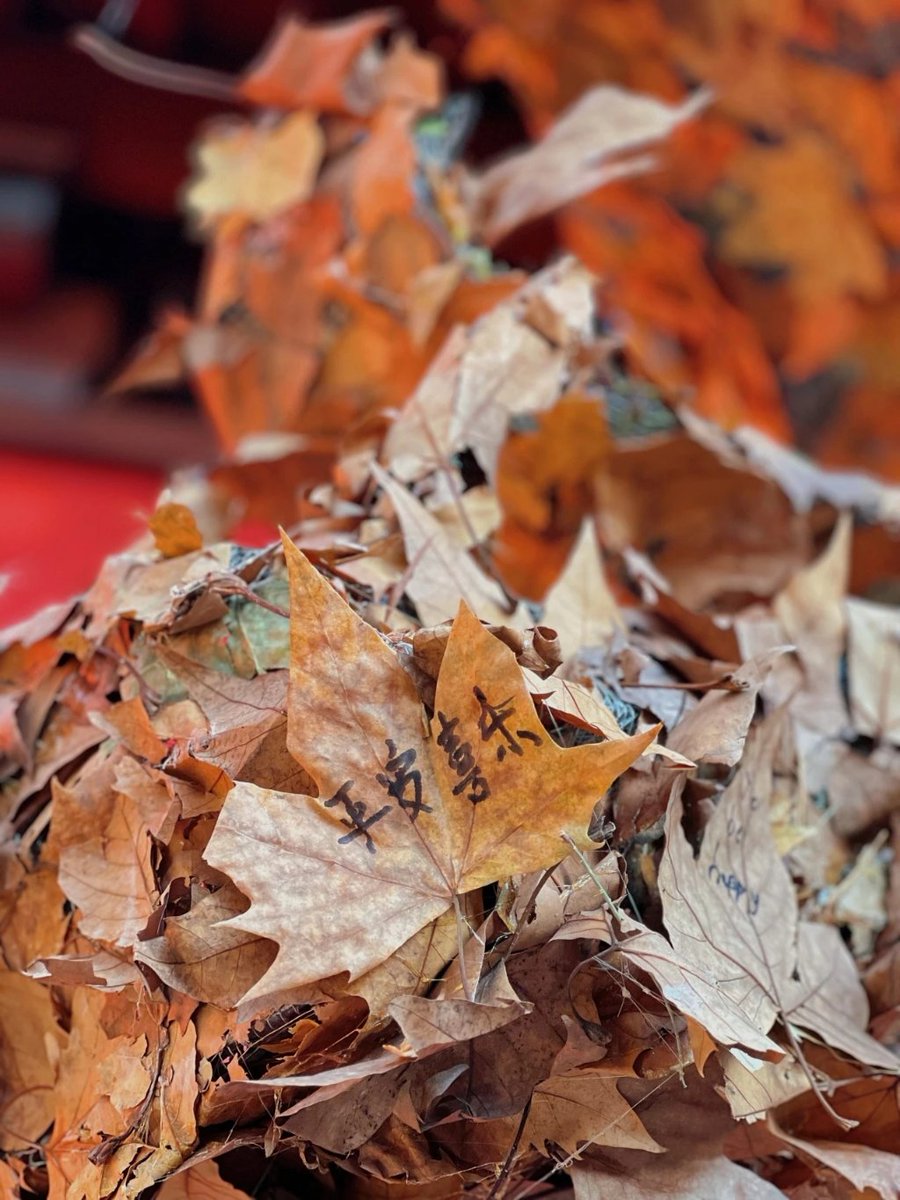 鼓楼下、红墙畔……在杭州偶遇落叶的浪漫🍂🍂🍂best wishes