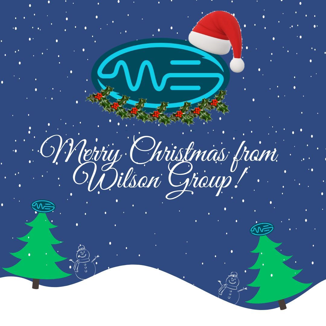 🎄🌟 Merry Christmas and a Happy New Year from everyone at Wilson Group! 🎄 🌟