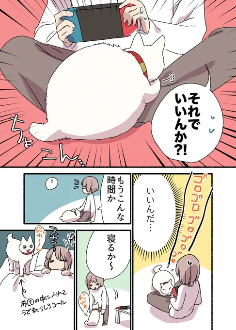 なんだかんだ猫の思い通りになってしまう話(2/3) #漫画が読めるハッシュタグ #愛されたがりの白猫ミコさん