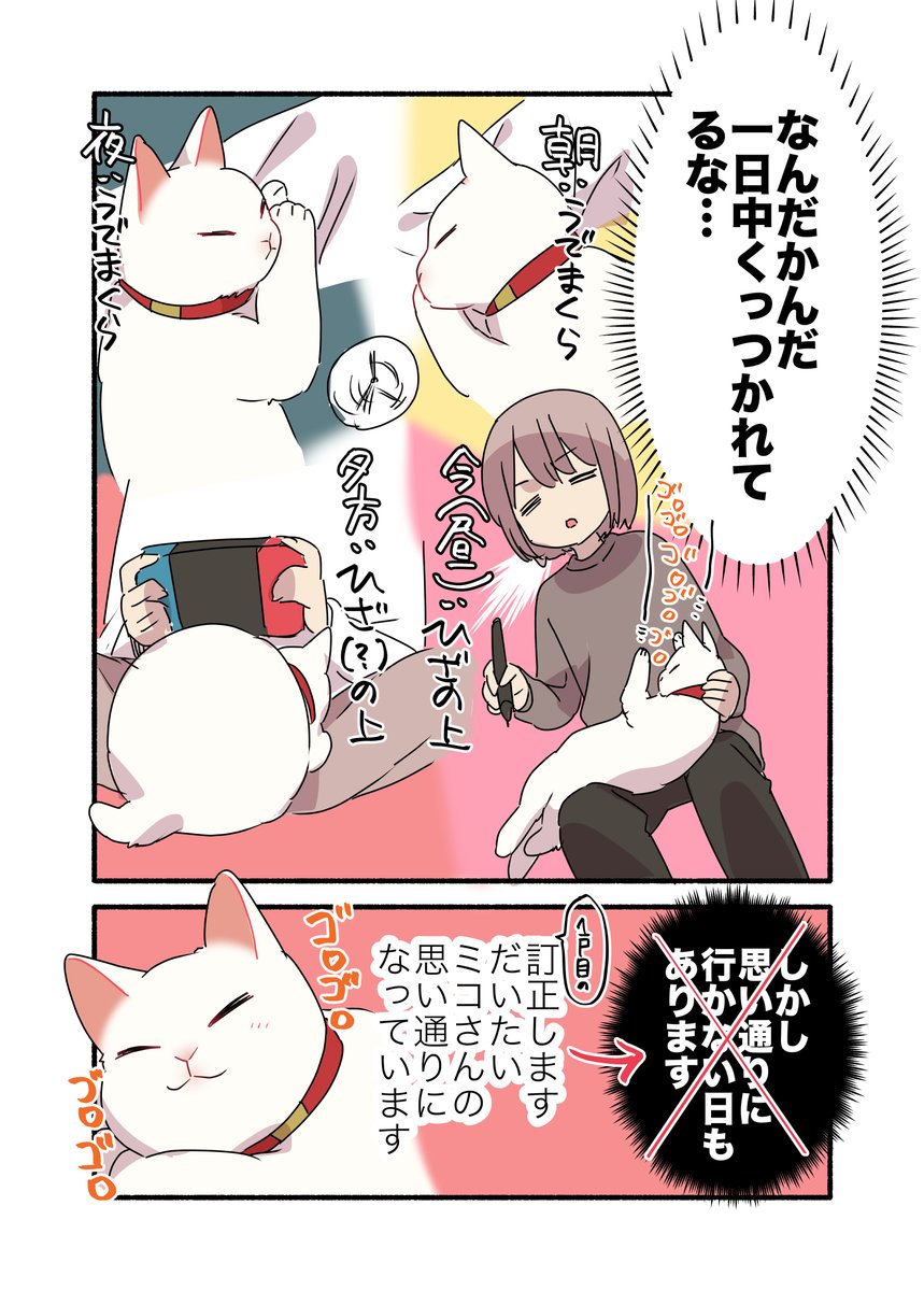 なんだかんだ猫の思い通りになってしまう話(3/3) #漫画が読めるハッシュタグ #愛されたがりの白猫ミコさん コミックス発売中です👇 https://amzn.to/3Gpk6yu