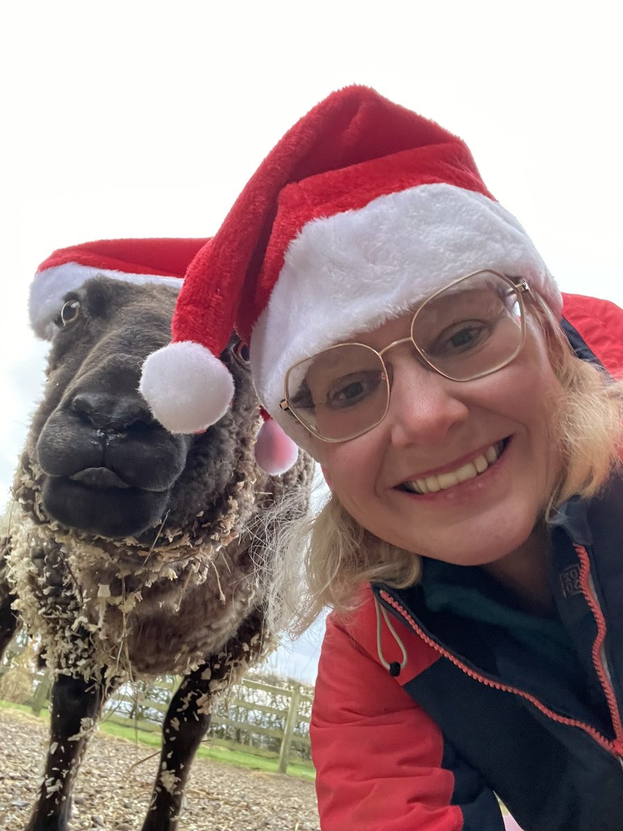 Merry Christmas from Barnaby too 🥰🥕🐑