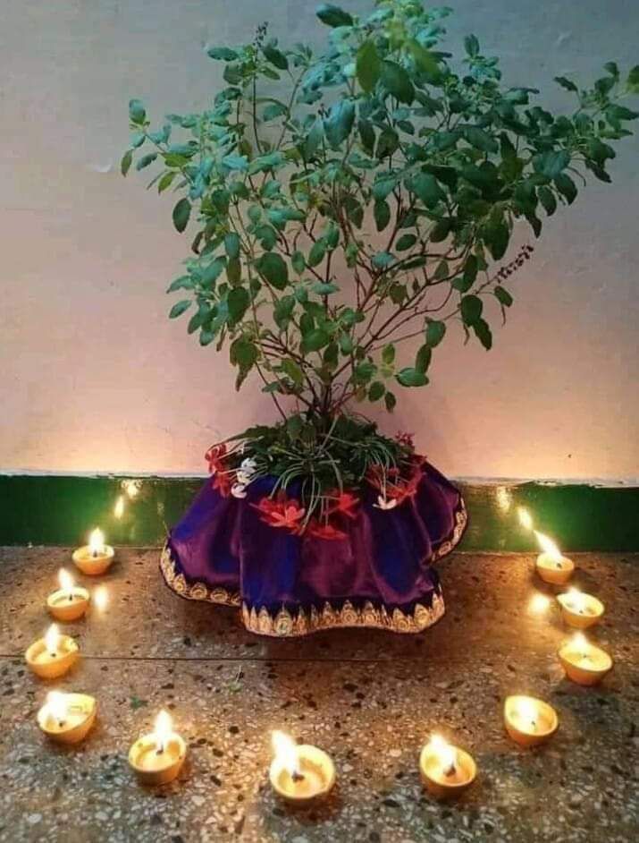 Merry Christmas 🎅 🎄 ❤️
And very happy #TulsiPujanDiwas