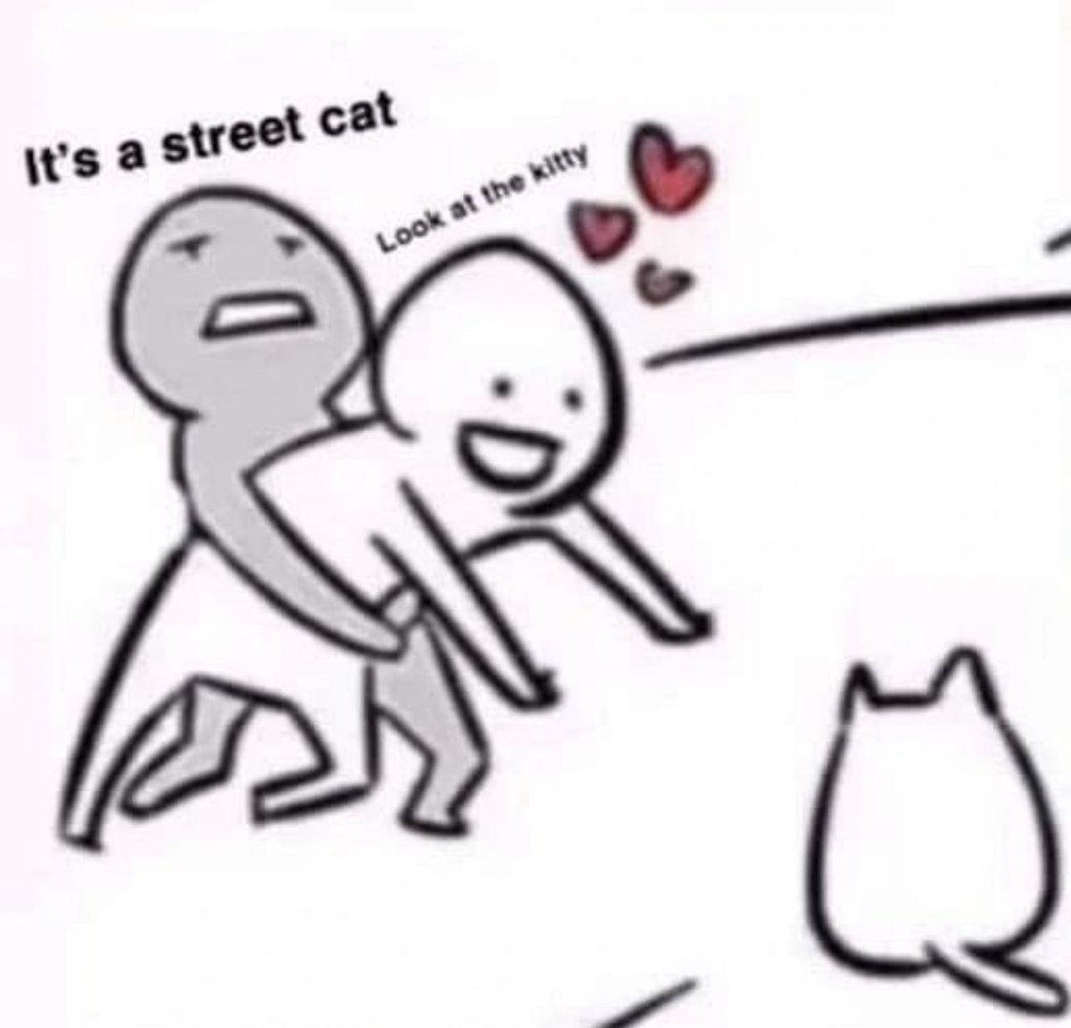 Why you should have a cat (@shouldhavecat) on Twitter photo 