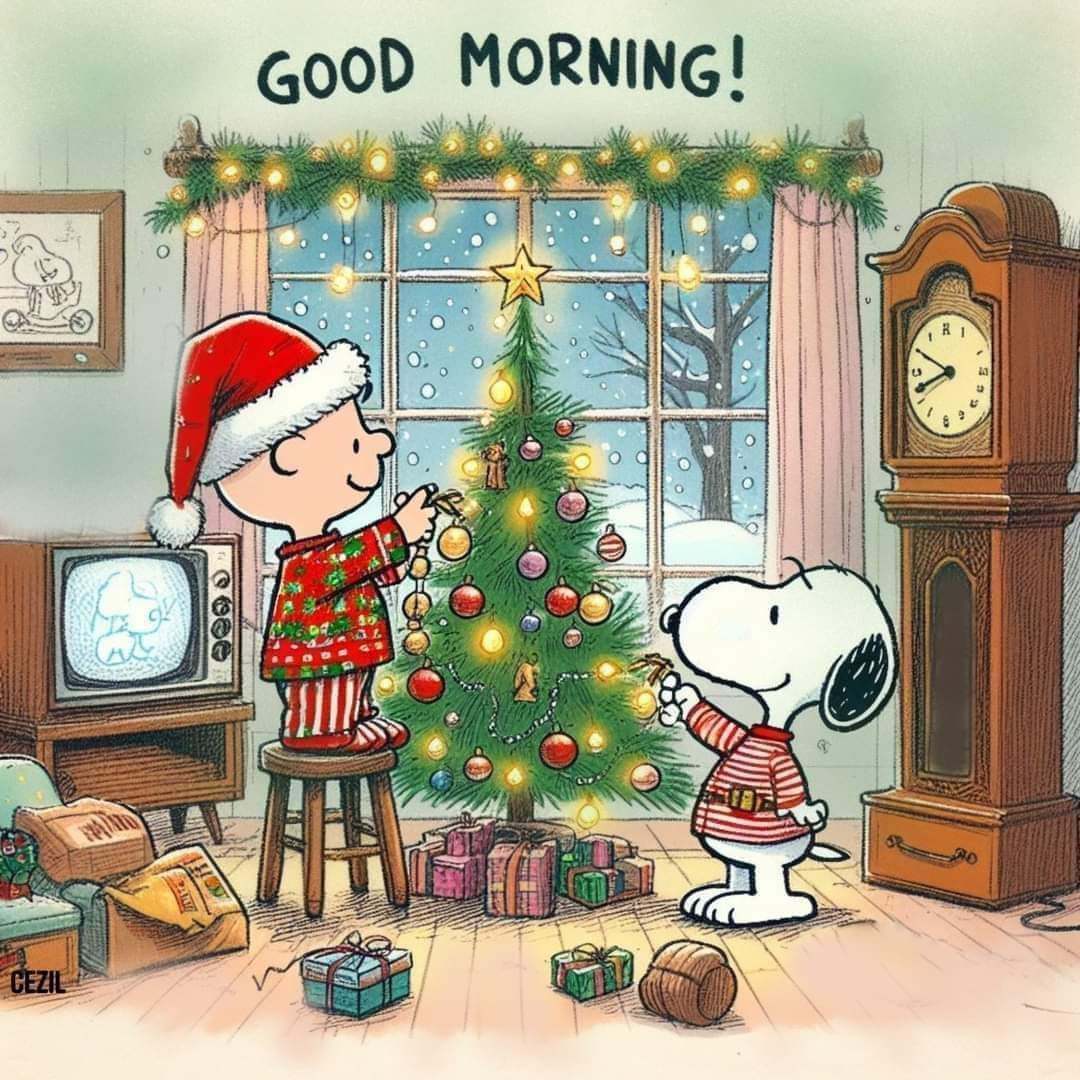 Guten Morgen und frohe Weihnachten 🎄 🎅🏼