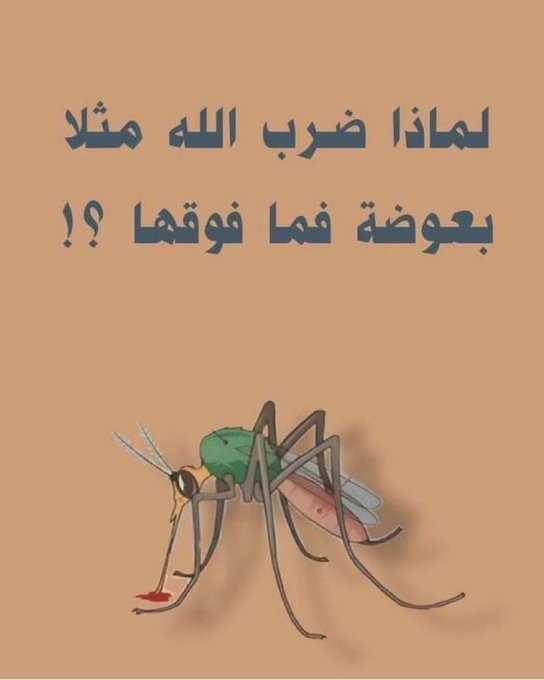 Aqwall1_'s tweet photo. لماذا ضرب الله مثلا بعوضة فما فوقها في القرآن ؟؟

تحت هالتغريدة راح اشارككم اياها👌🏻

فضل التغريدة وتابع السرد🖤 https://t.co/btjUvQ3H7E