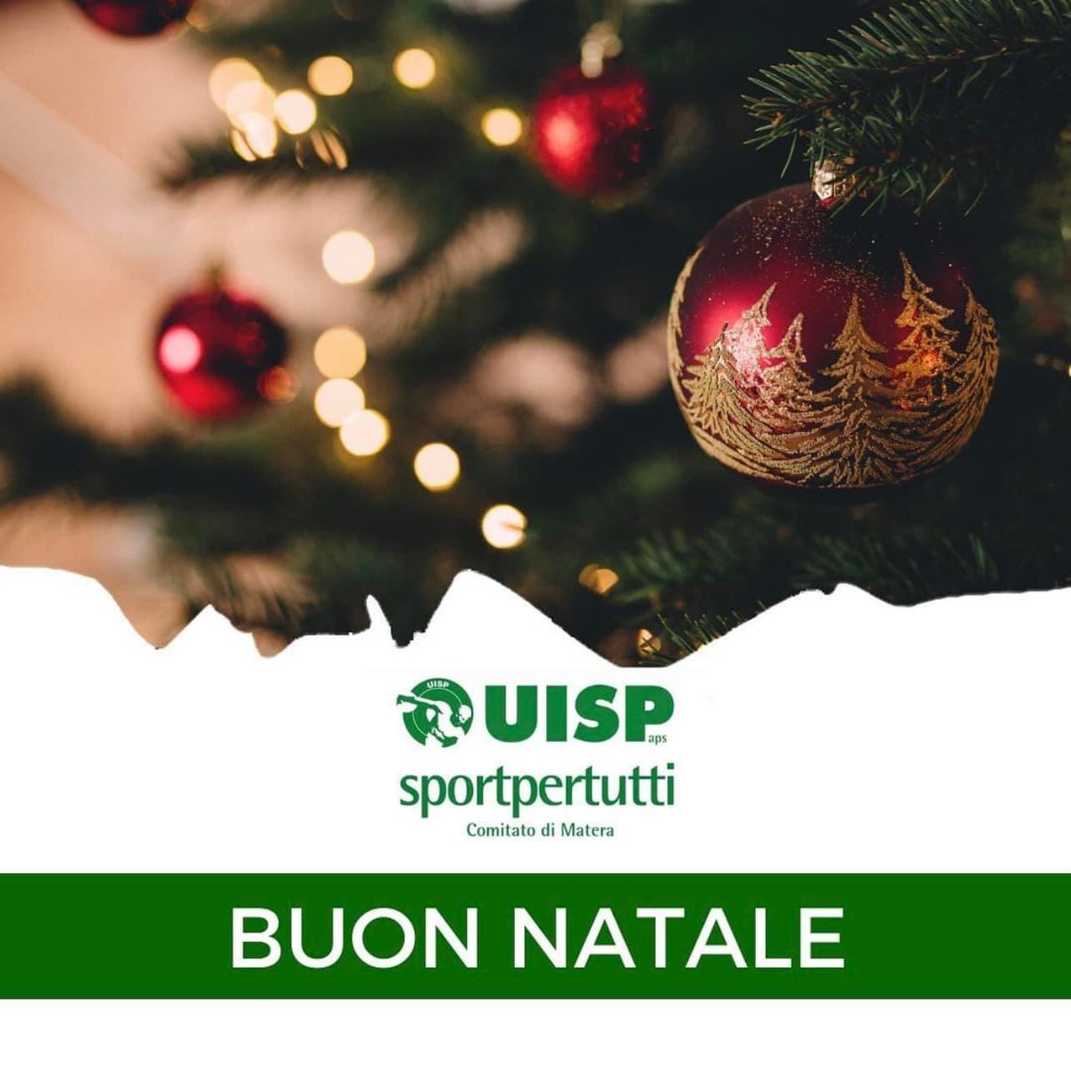 Tanti cari auguri di un sereno Natale! 🎄💫

#Uisp #UispMatera #BuonNatale 💚