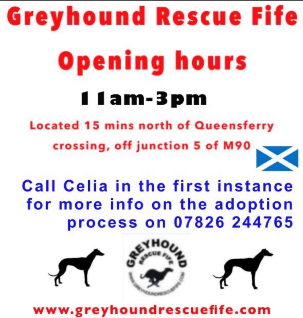 GreyhoundRFife's tweet photo. Greyhound Rescue Fife would like to wish everyone a Merry Christmas. Hope you have a #greyt day. Thank you for all the support, we couldn’t do this without U. #AdoptDontShop #TeamZay #HoundsOfTwitter #Christmas2023 #MerryChristmas #ThankYou #Rescue #Scotland #MerryChristmas ❤️🙏🏽 https://t.co/sbK7CVBn4K