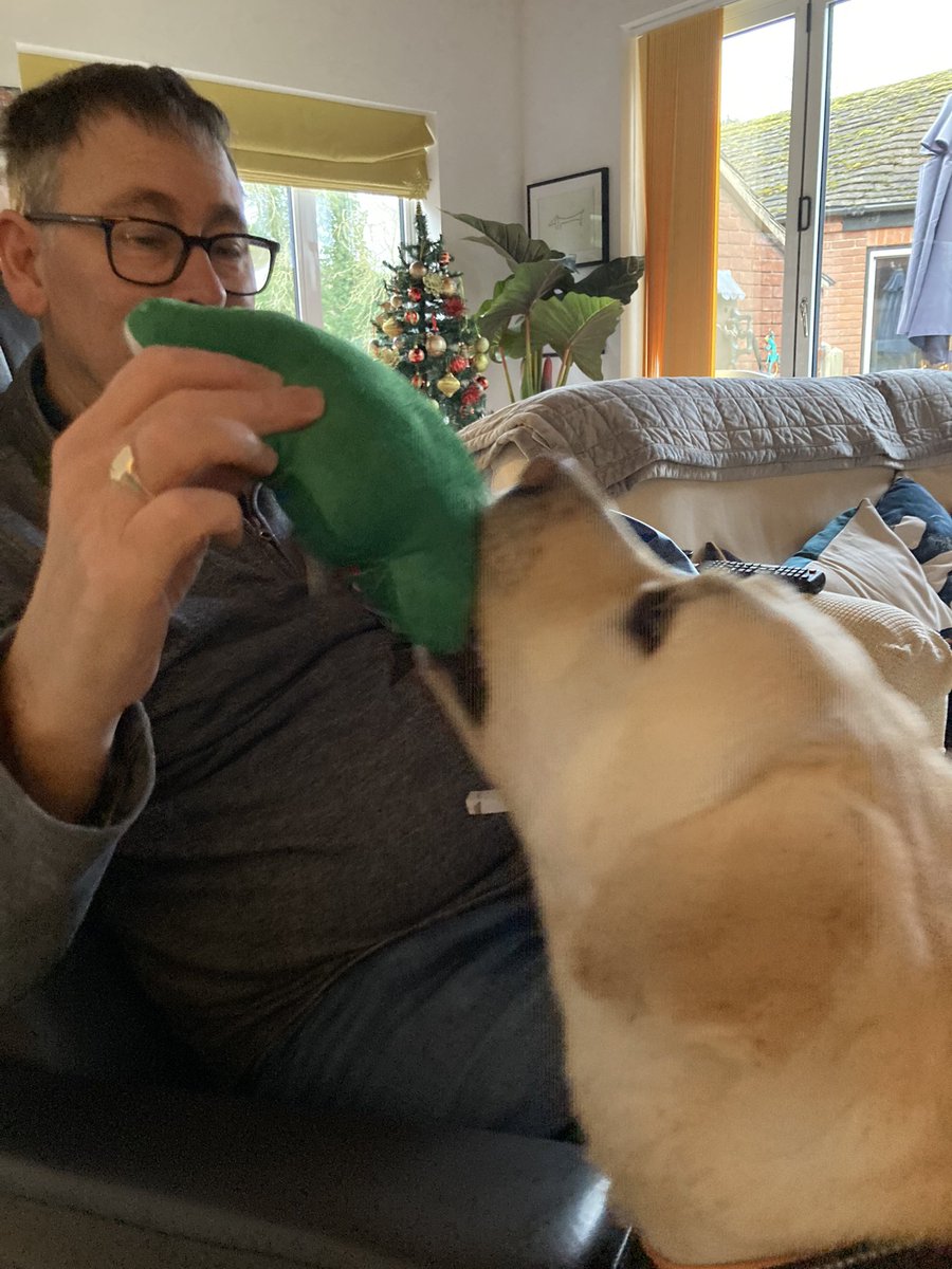 Merry Christmas pals . May you avoid the Christmas pies and chocolate and have lots of sausages xx #dogsoftwitter