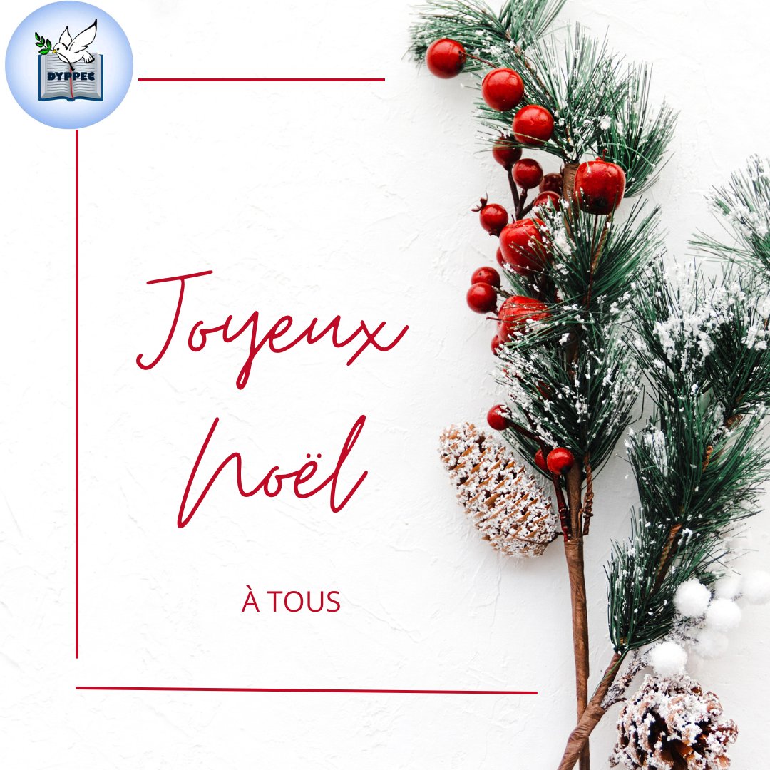 Dyppec's tweet photo. En cette période de partage, de solidarité et de paix, l'équipe de Dyppec vous souhaite de joyeuses fêtes. https://t.co/LWbqSnR7Bq