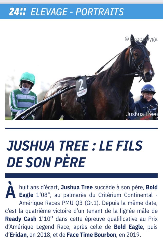 🇫🇷𝙱𝙾𝙻𝙳 𝙴𝙰𝙶𝙻𝙴 ♞ (@boldeagle_trot) on Twitter photo Bravo JUSHUA TREE 🏆👏🏻
@JMBfanpage <a href="/BOLDsupporters/">BoldEagleSupporters</a> <a href="/BoldEagle_Trot/">🇫🇷𝙱𝙾𝙻𝙳 𝙴𝙰𝙶𝙻𝙴 ♞</a>
<a href="/ProvinceCourses/">Province Courses / 24H au trot</a> Bravo JUSHUA TREE 🏆👏🏻
@JMBfanpage <a href="/BOLDsupporters/">BoldEagleSupporters</a> <a href="/BoldEagle_Trot/">🇫🇷𝙱𝙾𝙻𝙳 𝙴𝙰𝙶𝙻𝙴 ♞</a>
<a href="/ProvinceCourses/">Province Courses / 24H au trot</a>