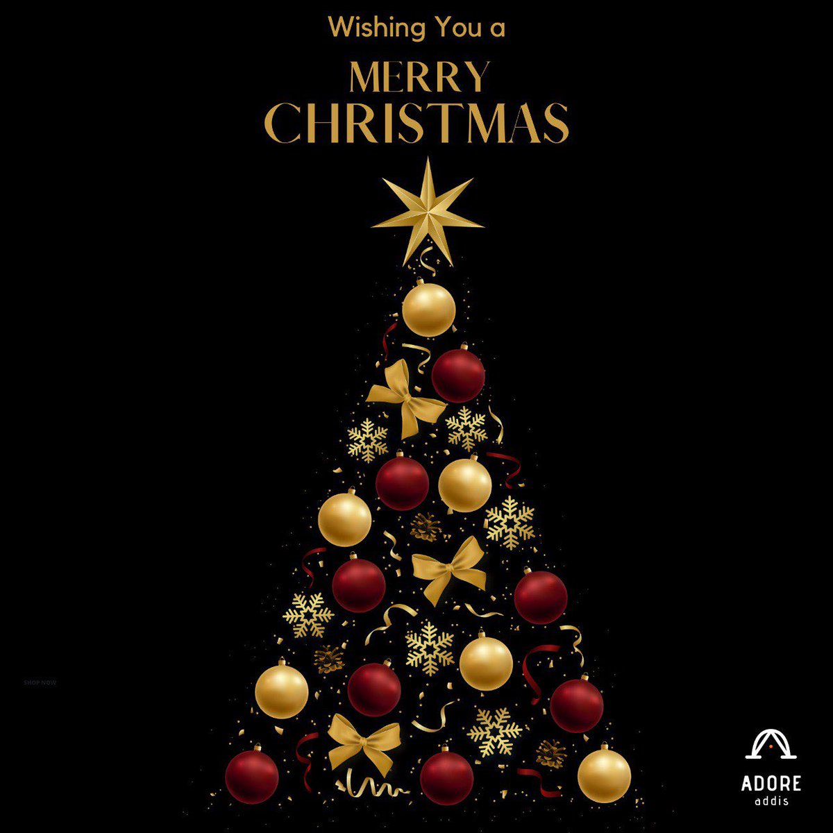 May this Christmas season fill your life with love, joy and unforgettable moments. Wishing you a heartwarming holiday! #christmas2023 #christmas #adoreaddis