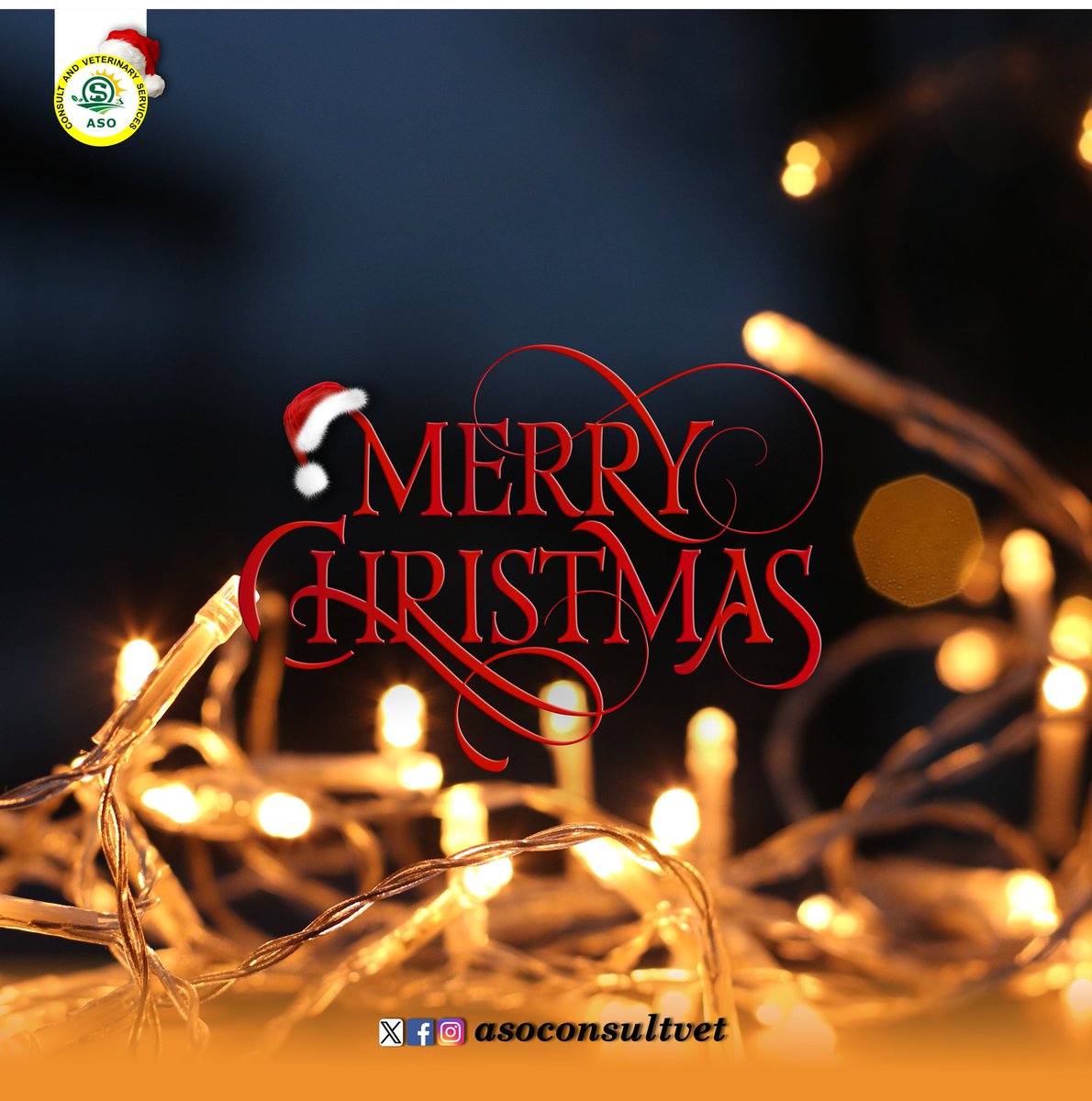 Merry Christmas and a prosperous new year ahead...
#agriculture #asoconsult #MerryChristmas