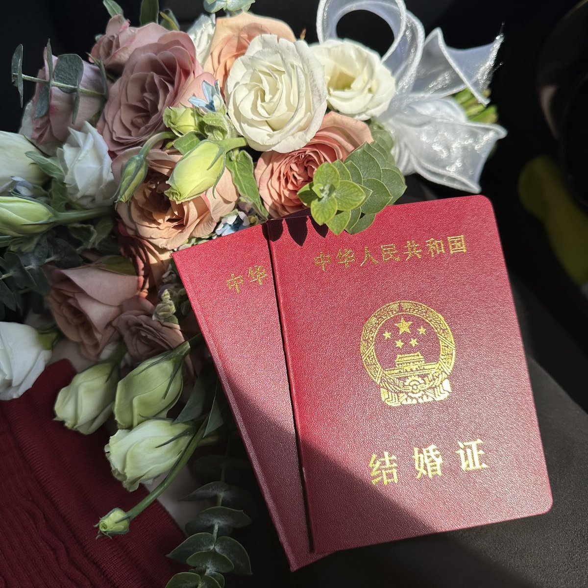 Joshua’ cat tweet media