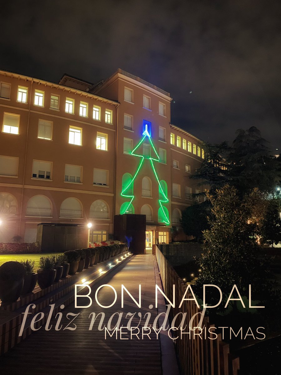 Bon Nadal! ⭐️ Feliz Navidad 🎄 Merry Christmas 🎁