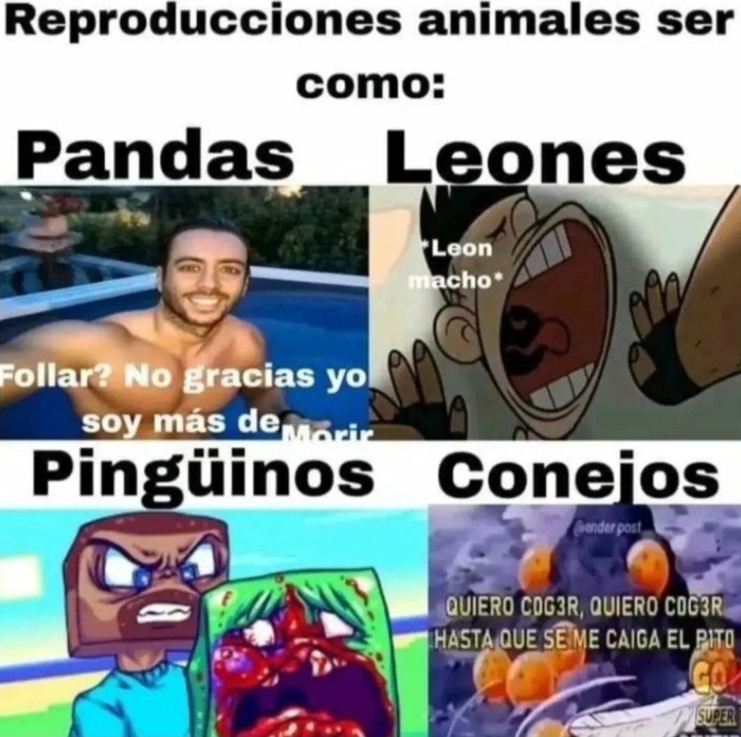 Siganme para más curiosidades del reino animal