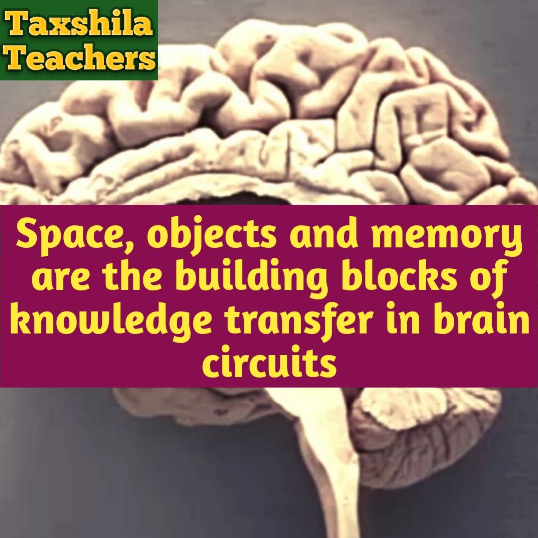 Learnography's tweet image. Building brainpage maps in knowledge transfer
taxshilateachers.blogspot.com/2023/12/learno… @Zeid_factor Merry Christmas 
#brainpage #learnography #education #mathsweek #books #BaddiesEast #Christmas #Christmas2023 #ENHYPEN #fishtanklive #furry #ItsAWonderfulLife #bist100 #MEXC #edchat #edtech #STEM