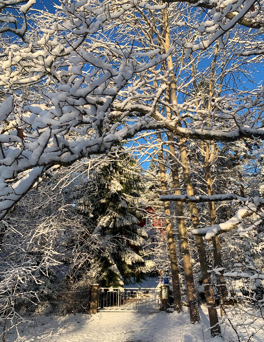 Lars Schmidt tweet media