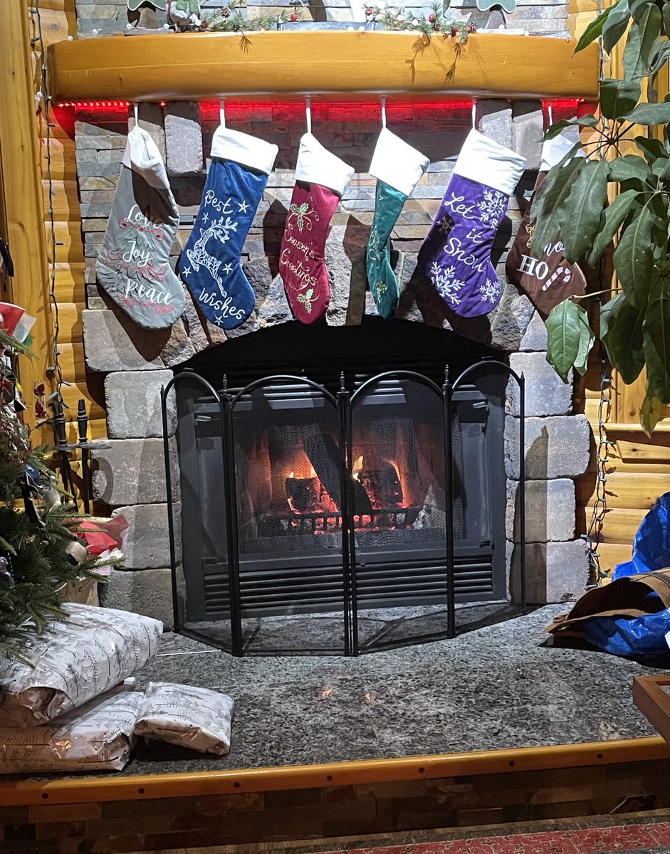 Merry Christmas from Labrador 🌲🌲