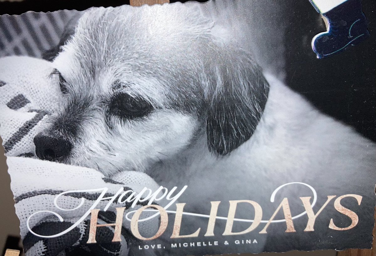 Michell97035657's tweet image. Merry Christmas!!