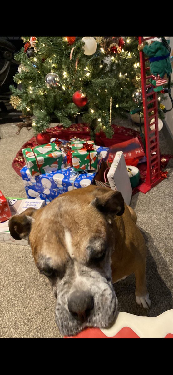 smaythh__'s tweet photo. Merry Christmas 🎄 https://t.co/dFwvxSnLnZ