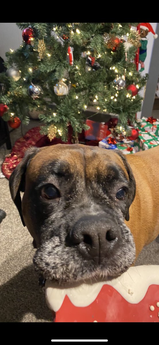 smaythh__'s tweet photo. Merry Christmas 🎄 https://t.co/dFwvxSnLnZ