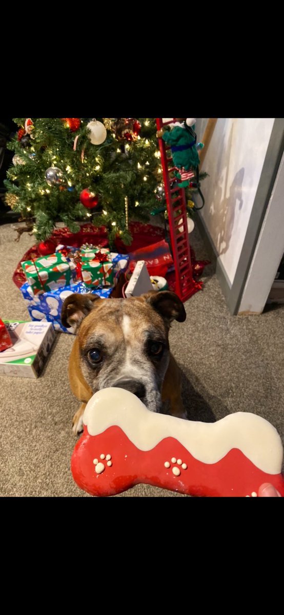 smaythh__'s tweet photo. Merry Christmas 🎄 https://t.co/dFwvxSnLnZ