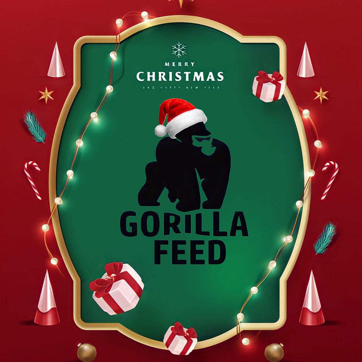 gorillafeed1's tweet photo. https://t.co/15c7oSnpEO