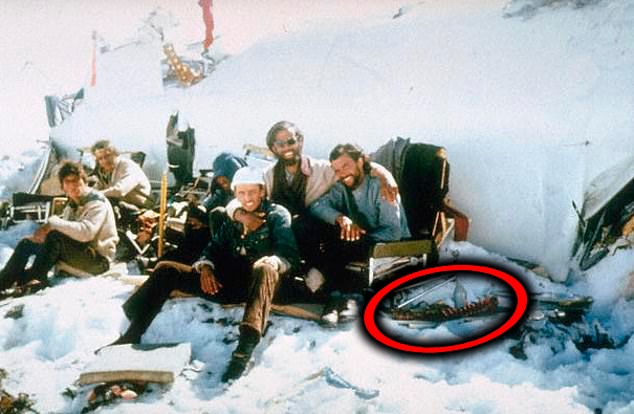 𝐃𝐀𝐍 🕷️ tweet media