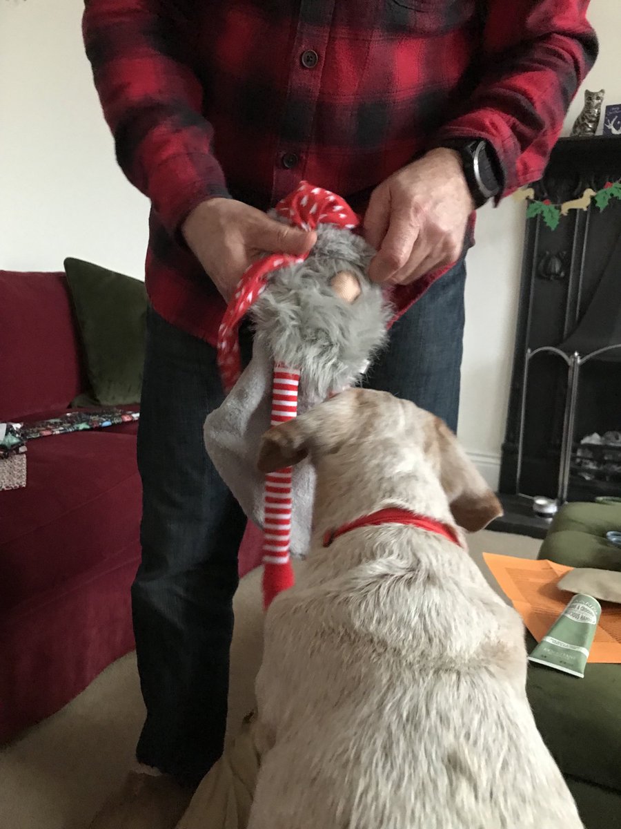 Pixiethemsd's tweet photo. Thank you #SecretSantaPaws for my fabulous presents, love them,especially the old dog treats πππ β¦@SausageArmyHQβ© https://t.co/zeJL4IBE0Q