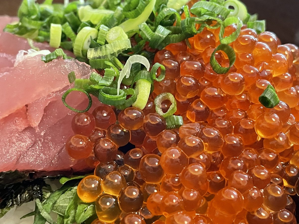saja0486's tweet photo. 海鮮丼
A bowl of sushi rice topped with sashimi, ikura (salmon roe), chopped green onions, and seaweed. #FoodAndDrink #Vegetable #HighAngleView #Indoors #Freshness #Food #StillLife #海鮮丼 #japanesefood https://t.co/ffHqqmCQpj