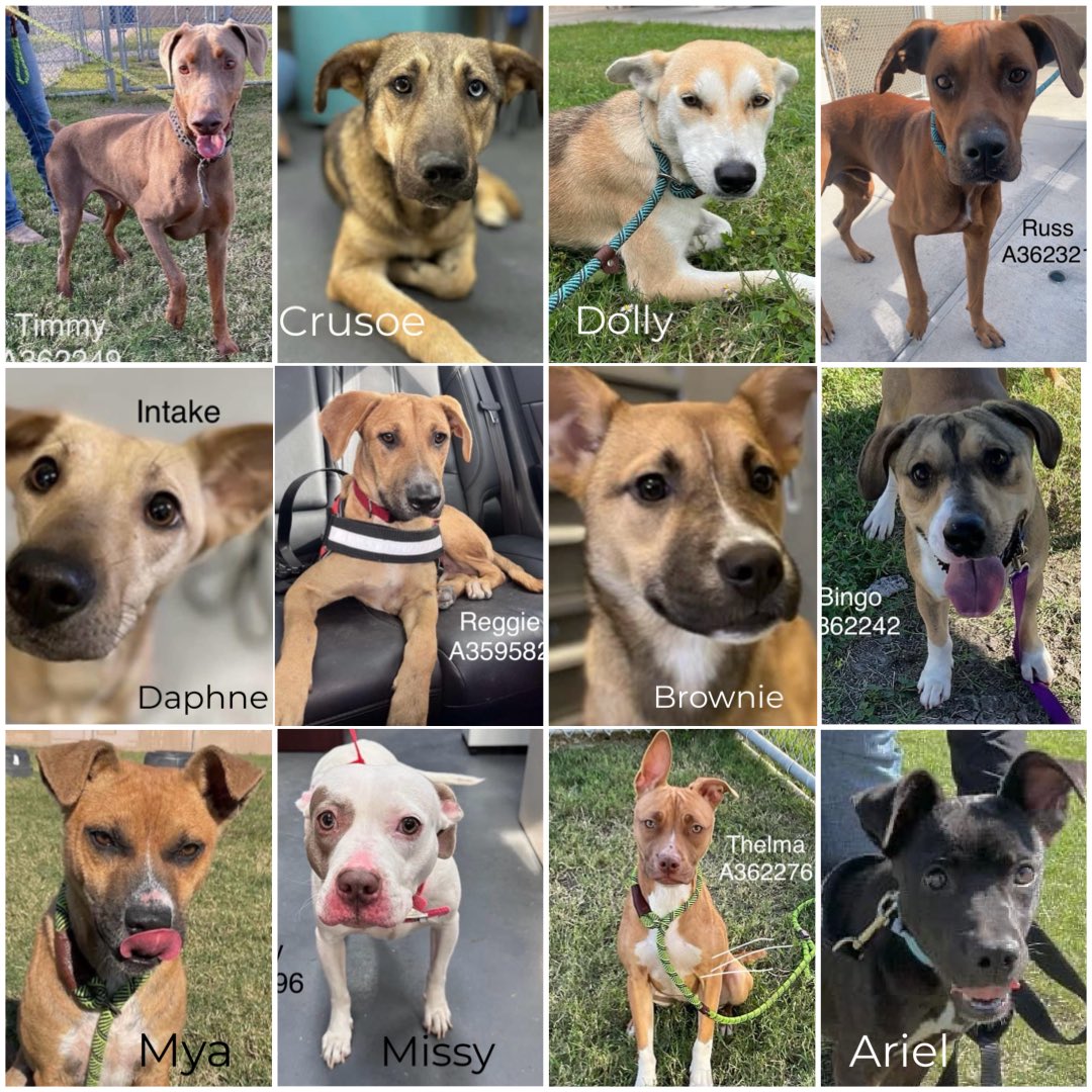 RoCo🇬🇧God Save The King🇬🇧 tweet media