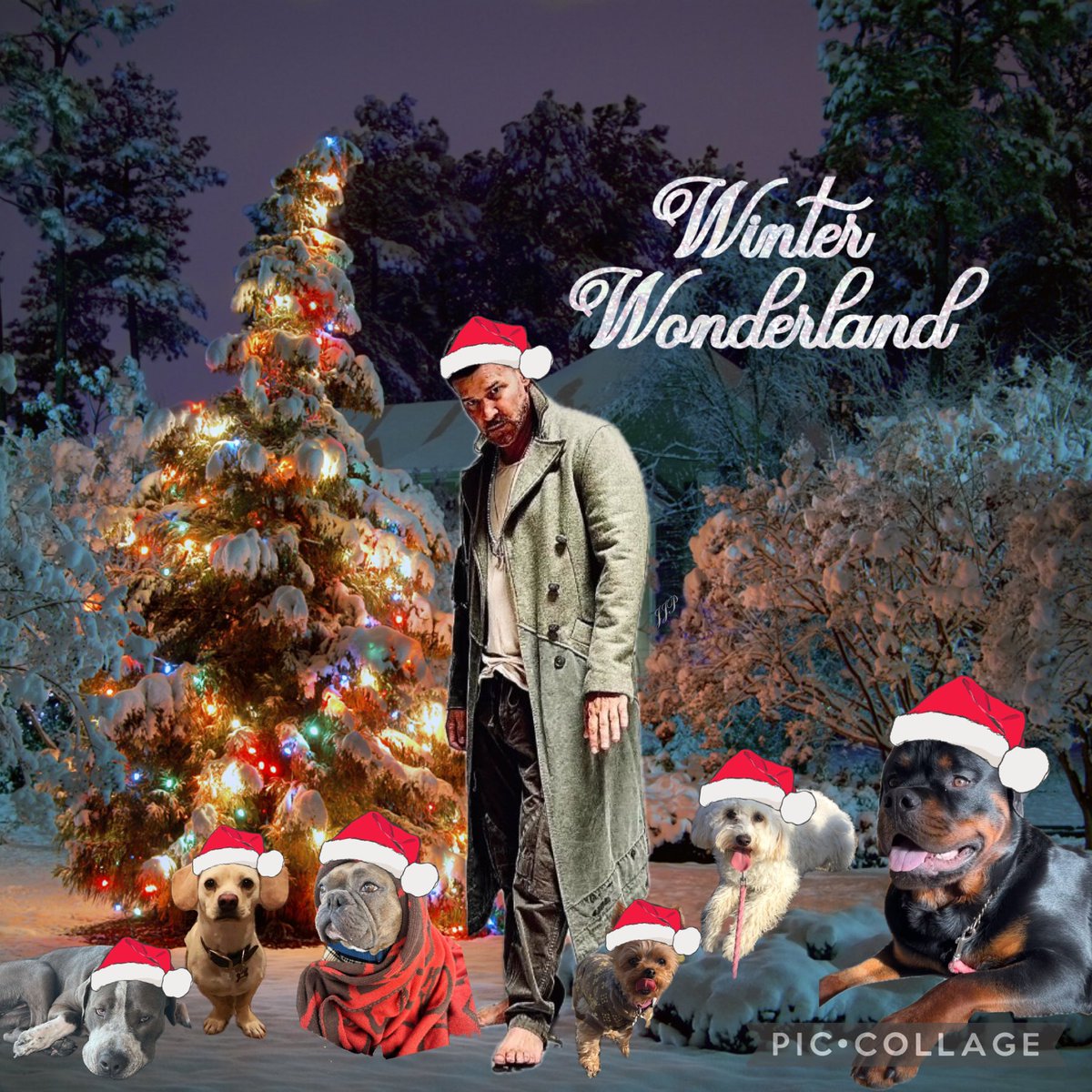 jaszy21's tweet photo. And one last #davidboreanaz Christmas edit with the pups 😍🎄🐾

#SEALteam #bones #angel #buffythevampireslayer https://t.co/ick63RyXS3