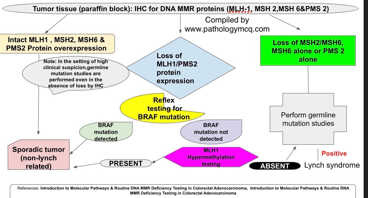 Pathology_mcqs's tweet photo. Algorithm for MSI testing #pathtwitter #MSItesting #colorectal #uterine #braf #mlh1 #msh2 #msh6 #germline #lynch #sporadic https://t.co/KxXdEmJm7W