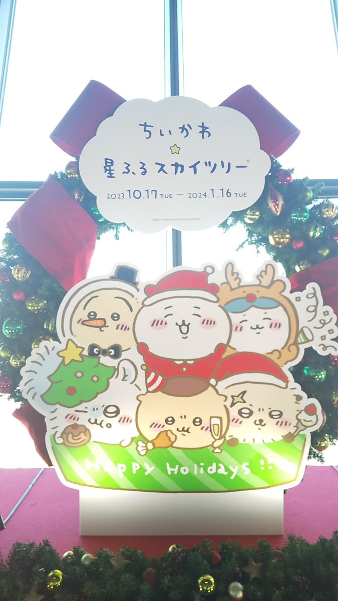 メリークリスマス✨ 