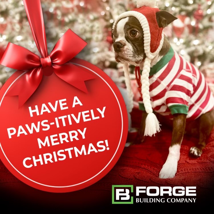 ForgeBuildingC1's tweet photo. Here's wishing our Forge family of employees, customers, partners, and vendors a very Merry Christmas and prosperous 2024. We are grateful for each and every one of you.
#forgeahead #teamforge https://t.co/1omSO5nWwq