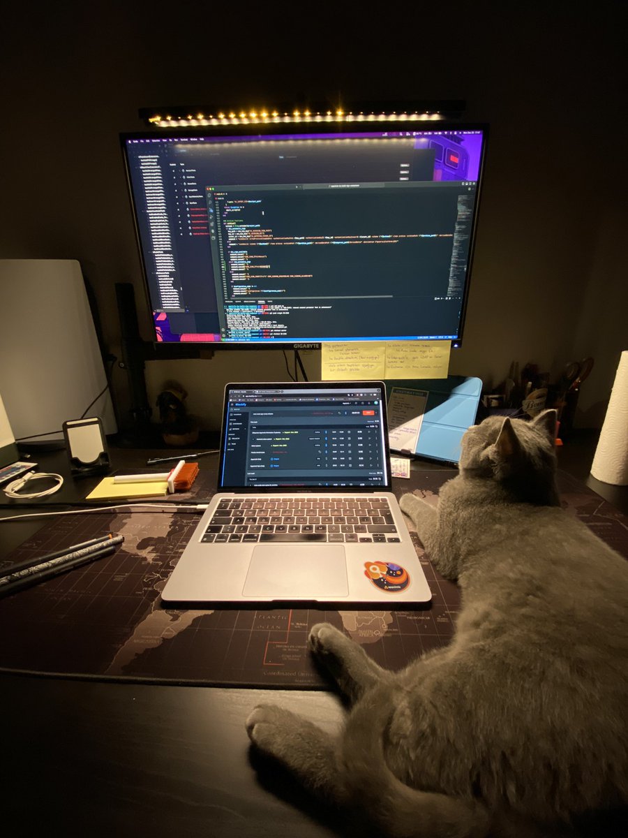 Bu gün mesaimizi Mimir paşayla beraber tamamlıyoruz. Yok öyle ye iç yat, çalışacak. Çocuk işçi 😂