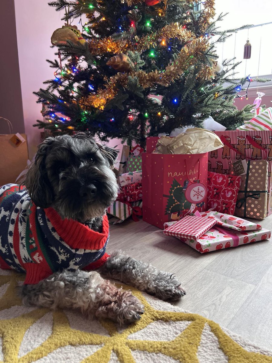 merry christmas from broccoli